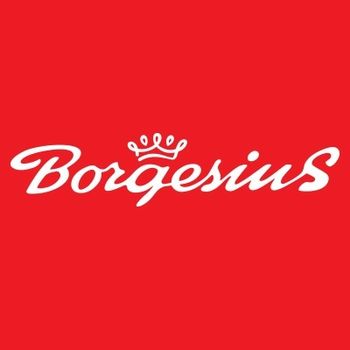 Logo Borgesius